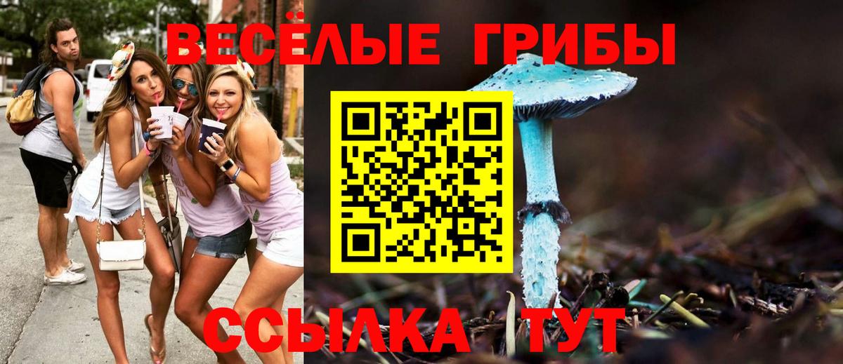 Псилоцибиновые грибы прущие грибы Северск