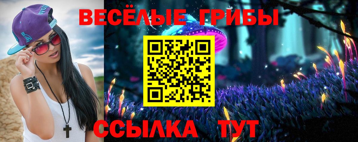как найти наркотики  Вход с VPN  Псилоцибиновые грибы ЛСД  Северск  Галлюциногенные грибы Cubensis 